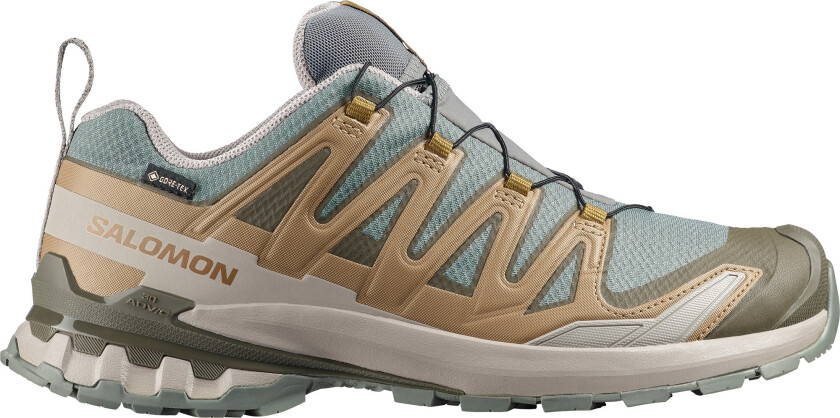 Men's XA 3D Pro V9 GORE-TEX Sedona Sage/Plantation/Paloma