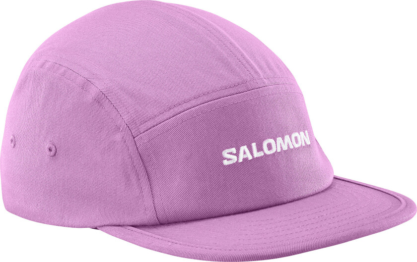 Logo 5 Panel Iris Orchid