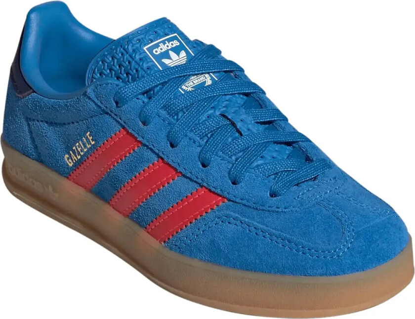 Gazelle Indoor C - Blue - 30