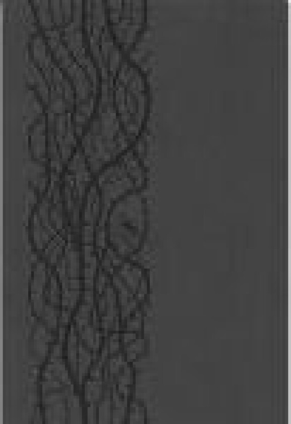 Bibelen på Hverdagsdansk, trend, grå, kunstlæder Språk: Dansk