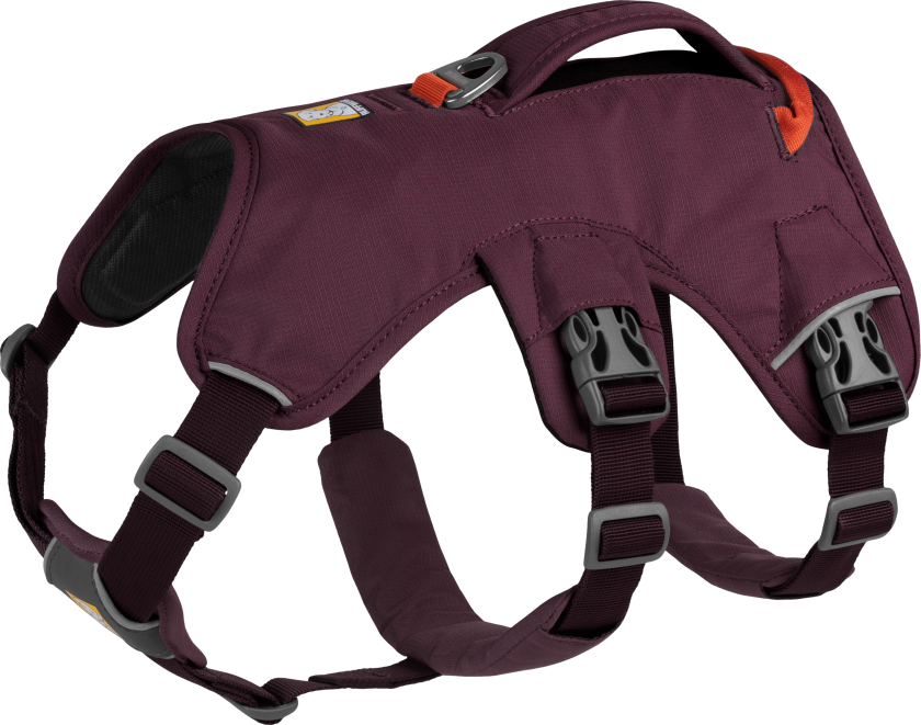 Web Master Harness Hundesele Lilla XXS