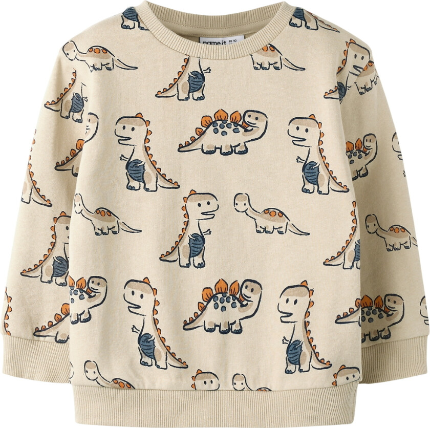 Collegegenser - NmmFidino - Peyote - - 5 år (110) - Collegegenser