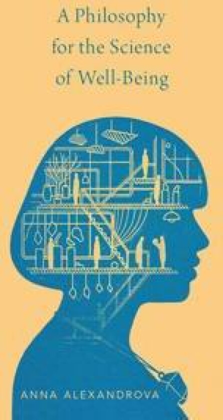 A Philosophy for the Science of Well-Being