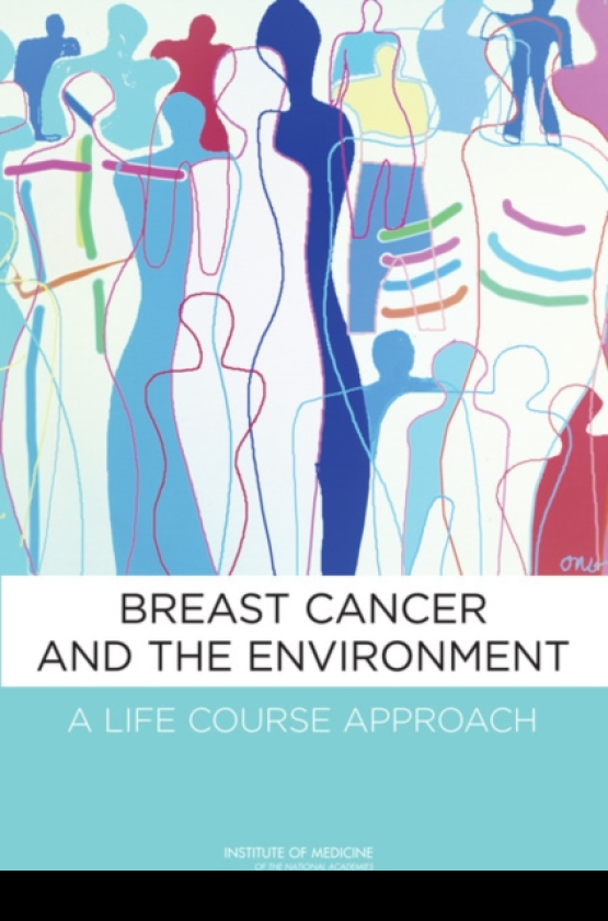Breast Cancer and the Environment A Life Course Approach