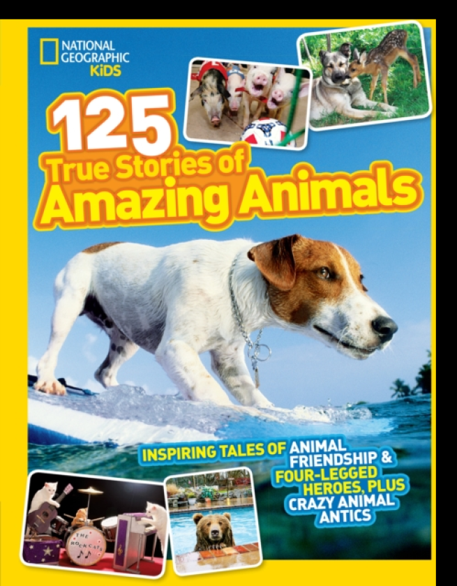 125 True Stories of Amazing Animals Inspiring Tales of Animal Friendship & FourLegged Heroes, Plus Crazy Animal Antics