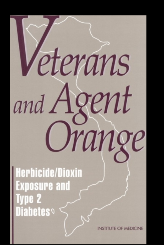 Veterans and Agent Orange Herbicide/Dioxin Exposure and Type 2 Diabetes