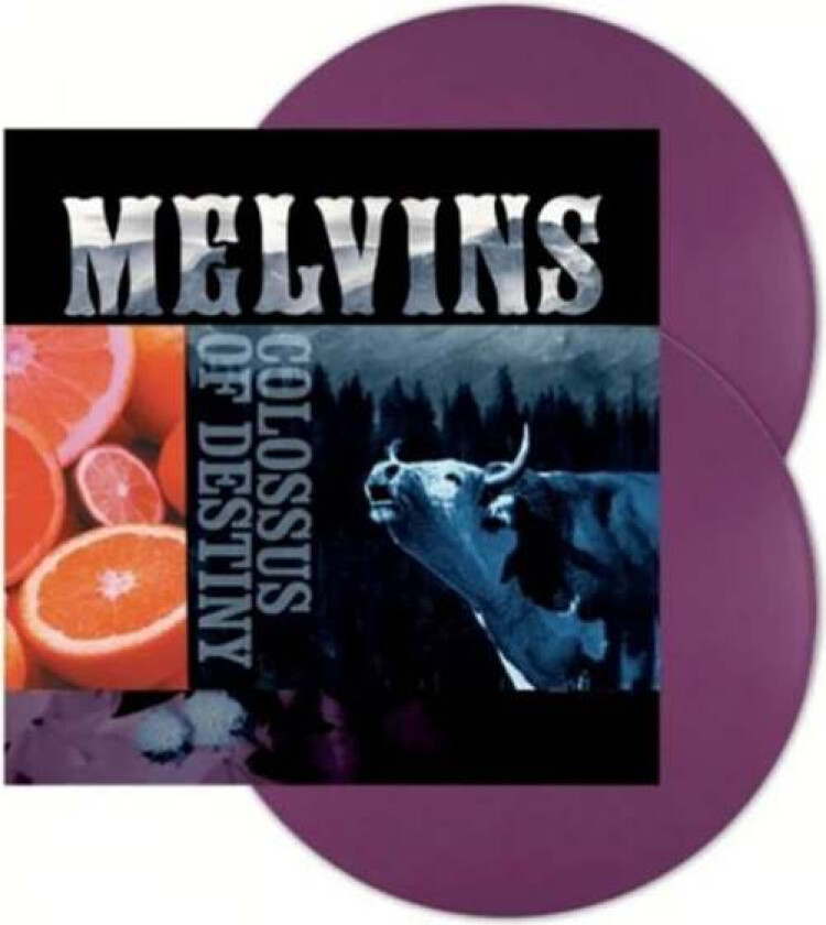 LP - Colossus of destiny - Unisex - standard