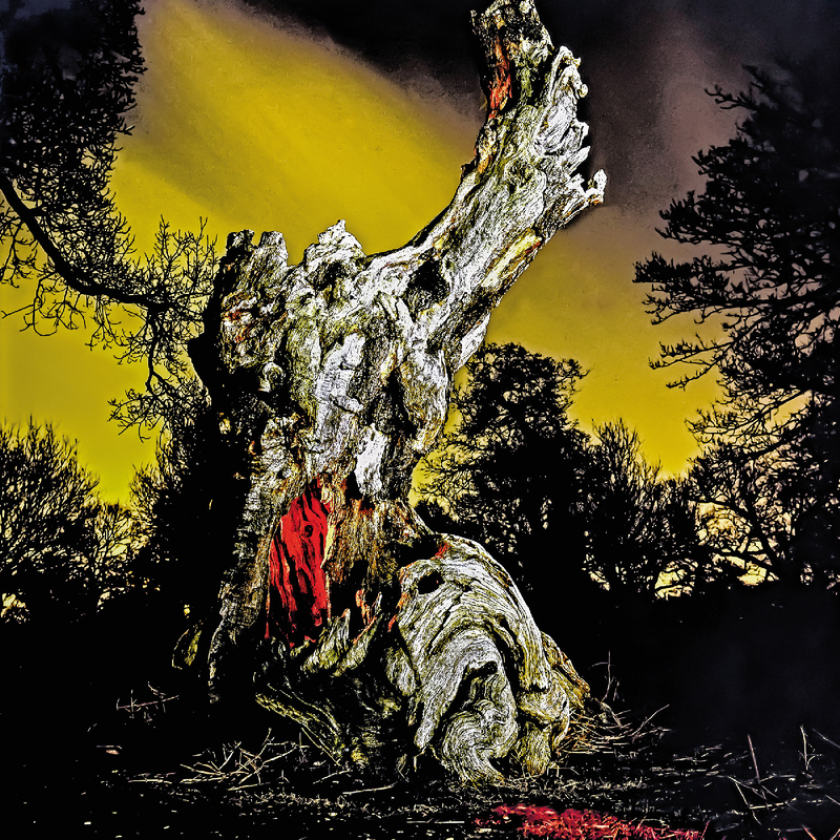 Real Farmer Two Wrongs Don't Make A Right LP/Vinyl