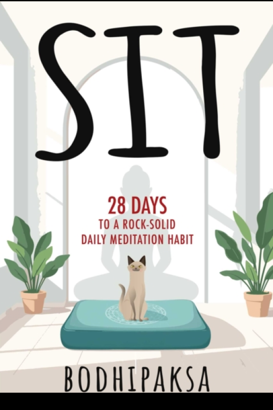 Sit TwentyEight Days to a RockSolid Daily Meditation Habit