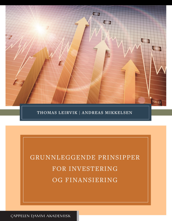 Grunnleggende prinsipper for investering og finansiering