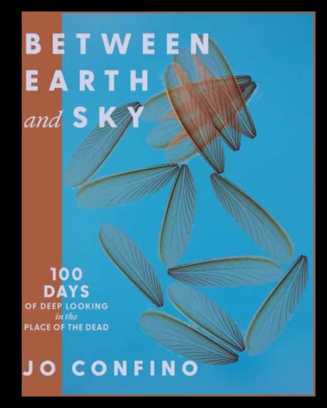 Between Earth and Sky 100 Days of Deep Looking in the Place of the Dead