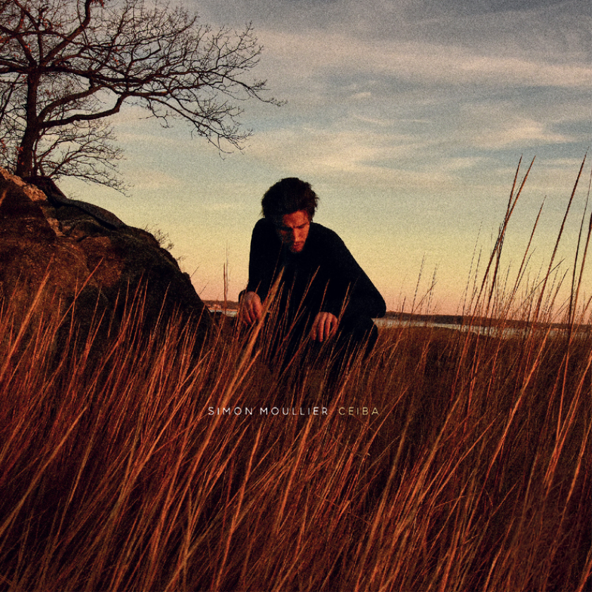 Simon Moullier Ceiba LP/Vinyl