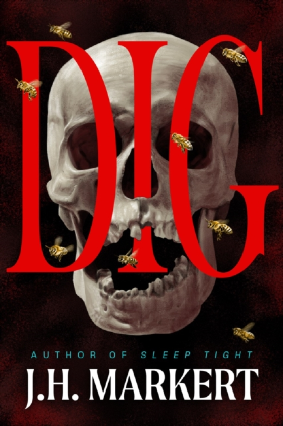Dig A Novel