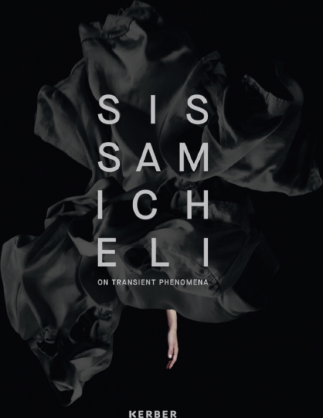 On Transient Phenomena Sissa Micheli