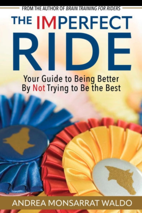 The Imperfect Ride Your Guide to Being Better By Not Trying to Be the Best