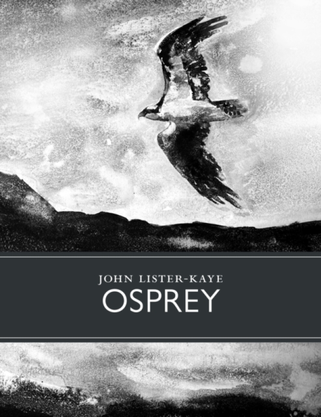Osprey