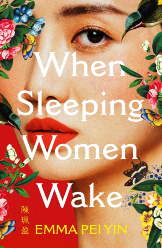 When Sleeping Women Wake a sweeping historical WW2 novel with female resistance at its heart