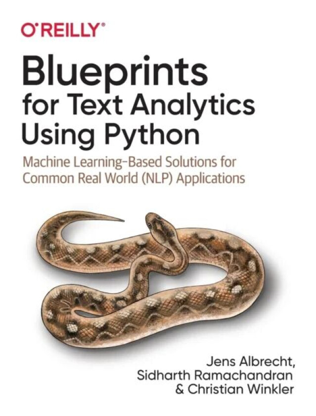 Blueprints for Text Analytics using Python av Jens Albrecht, Sidharth Ramachandran, Christian Winkler