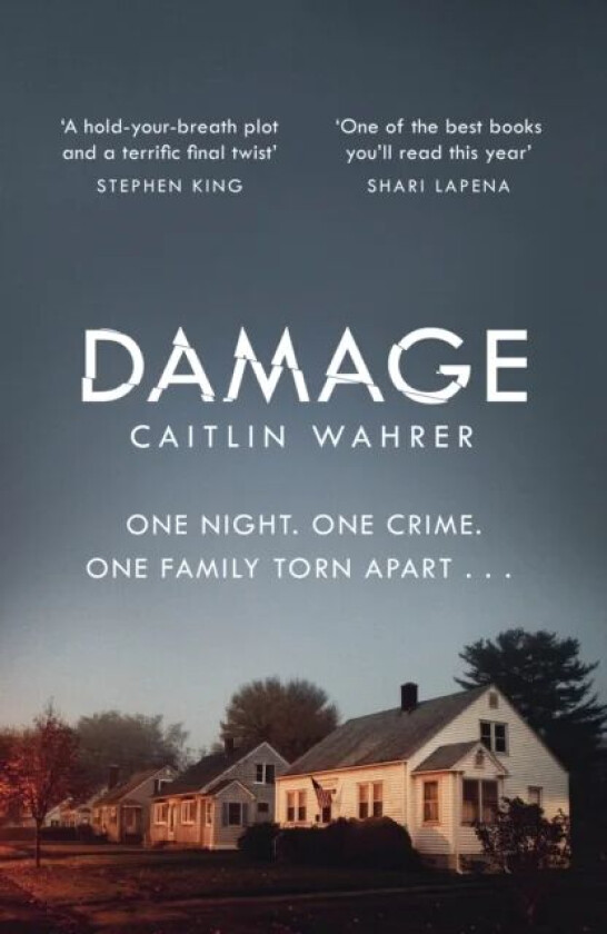 Damage av Caitlin Wahrer