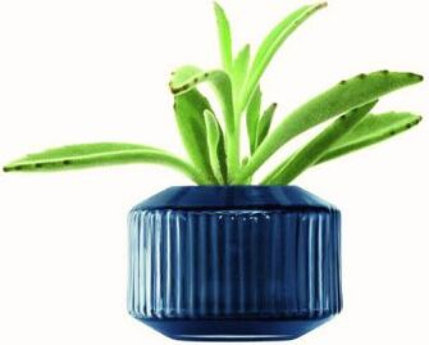 Lyseholder/vase Rotunda Safir Lsa 7,2x10x10cm