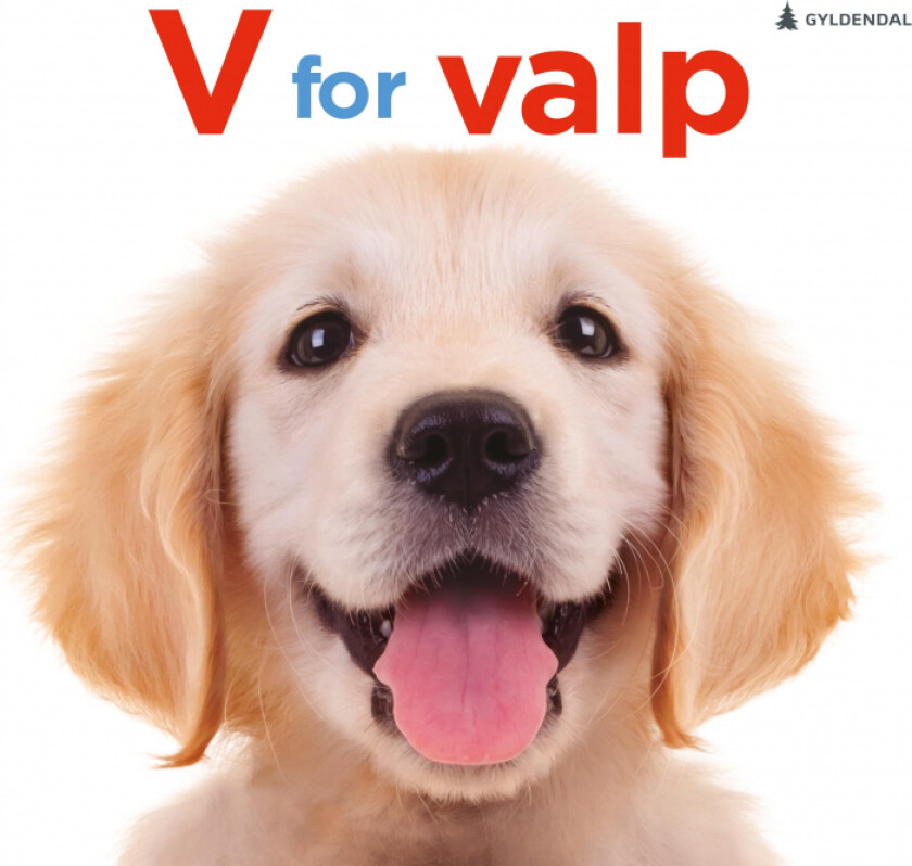 V for valp