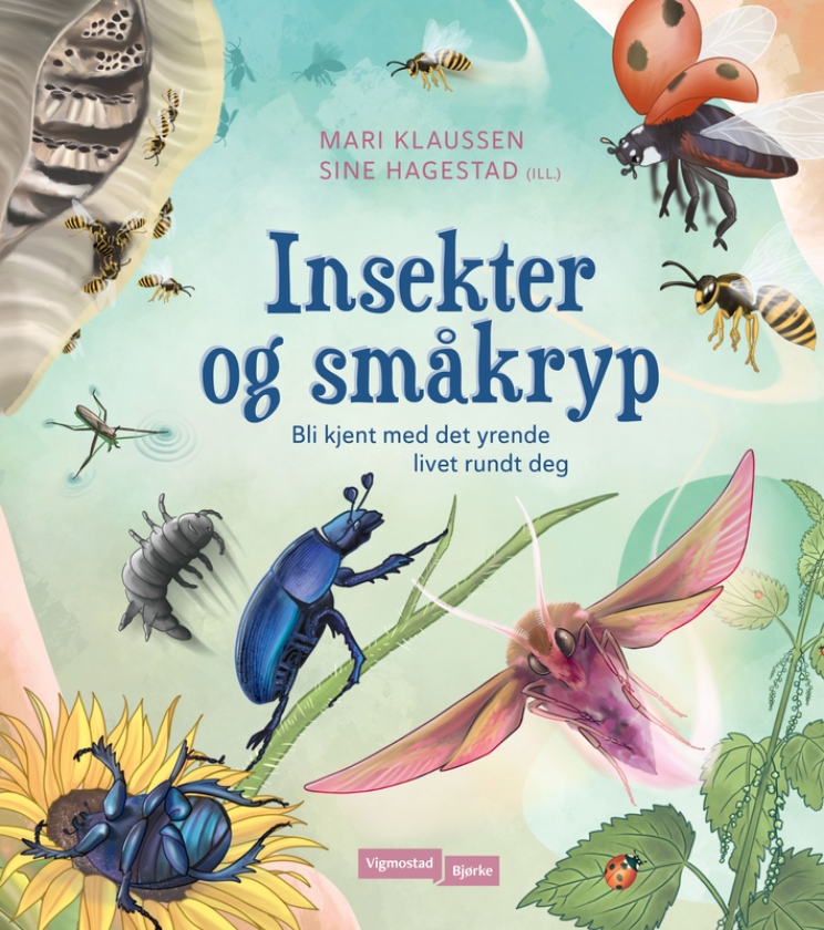 Insekter og småkryp bli kjent med det yrende livet rundt deg