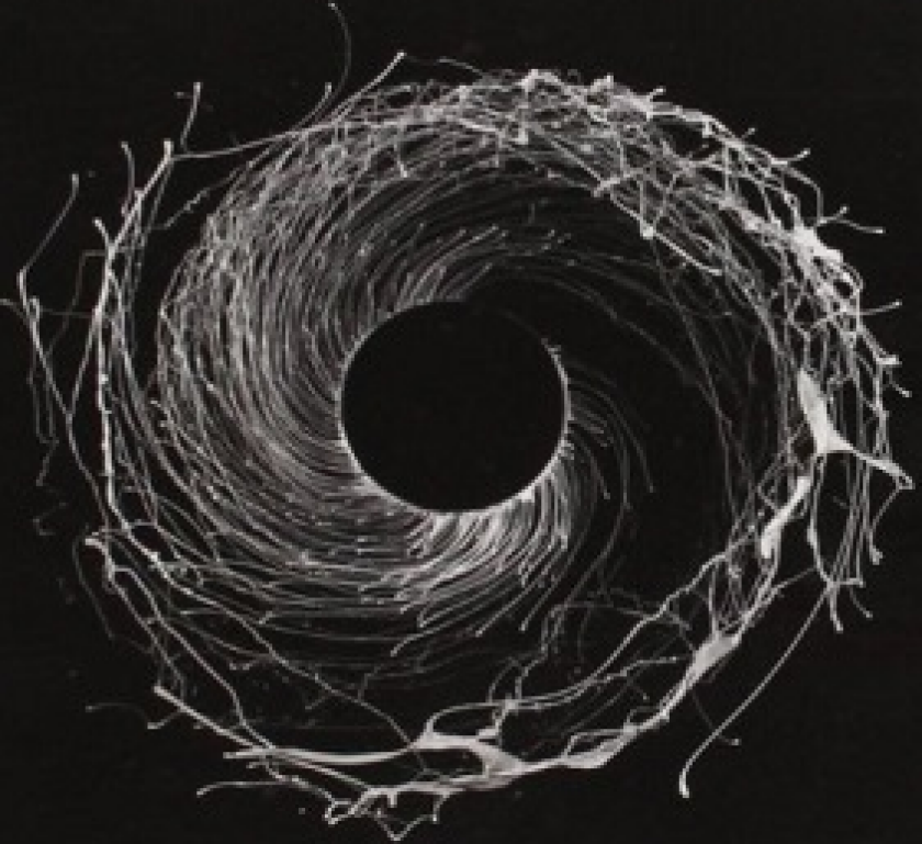 Dawn Of Midi Dysnomia CD